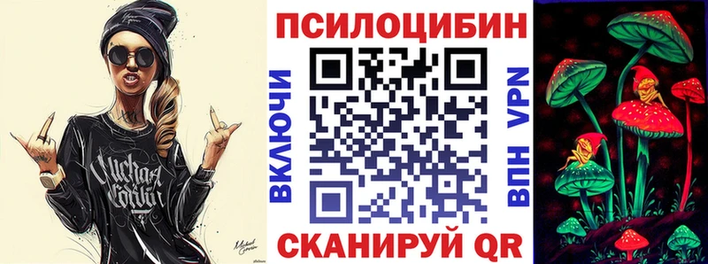 блэк спрут как войти дарк нет формула Псилоцибиновые грибы MAGIC MUSHROOMS Зима